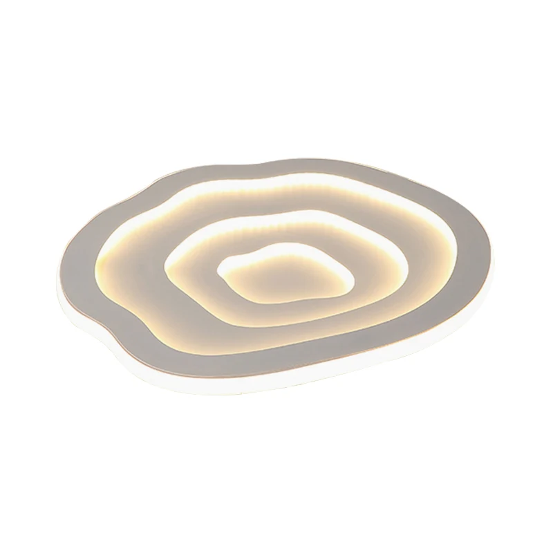 Woonkamerbloem LED-inbouwlamp Acryl Oogverzorgende witte plafondlamp Clearhalo