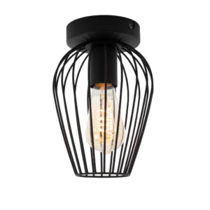 EGLO plafondlamp Newtown - e27 - staal - zwart