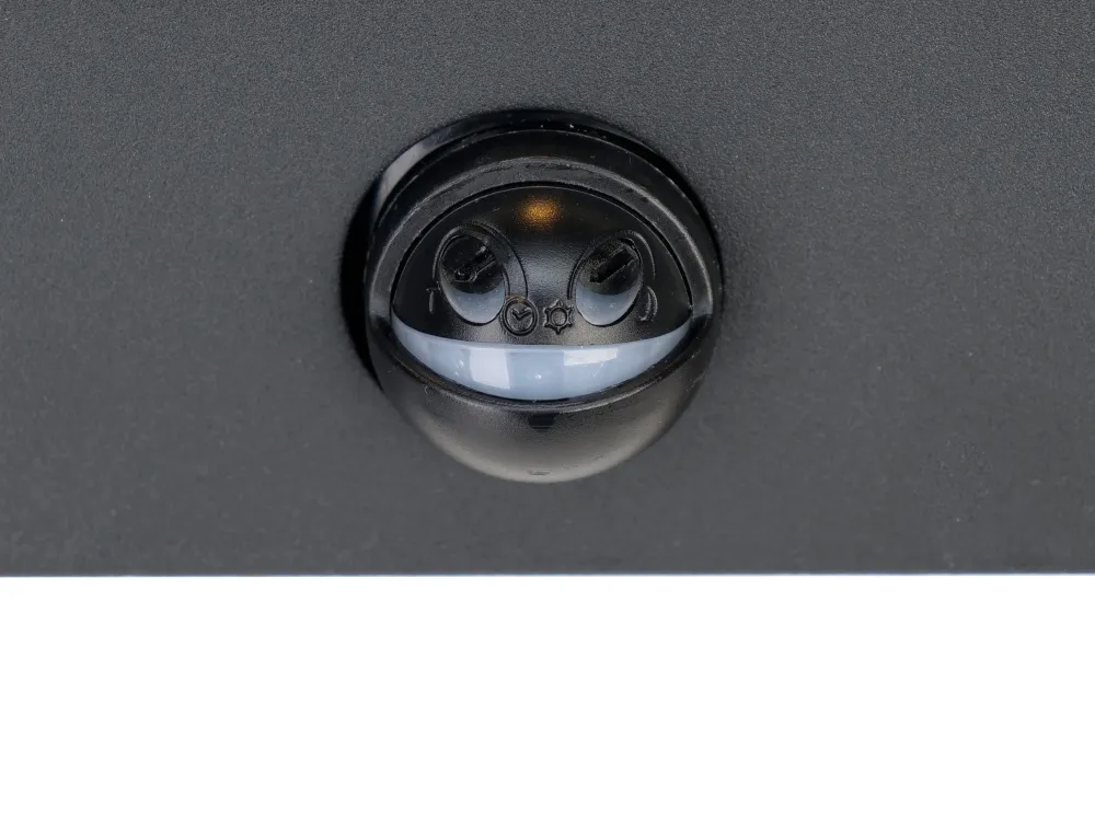 EGLO wandlamp buiten Alamonte - e27 - 29,5 cm - zwart - sensor