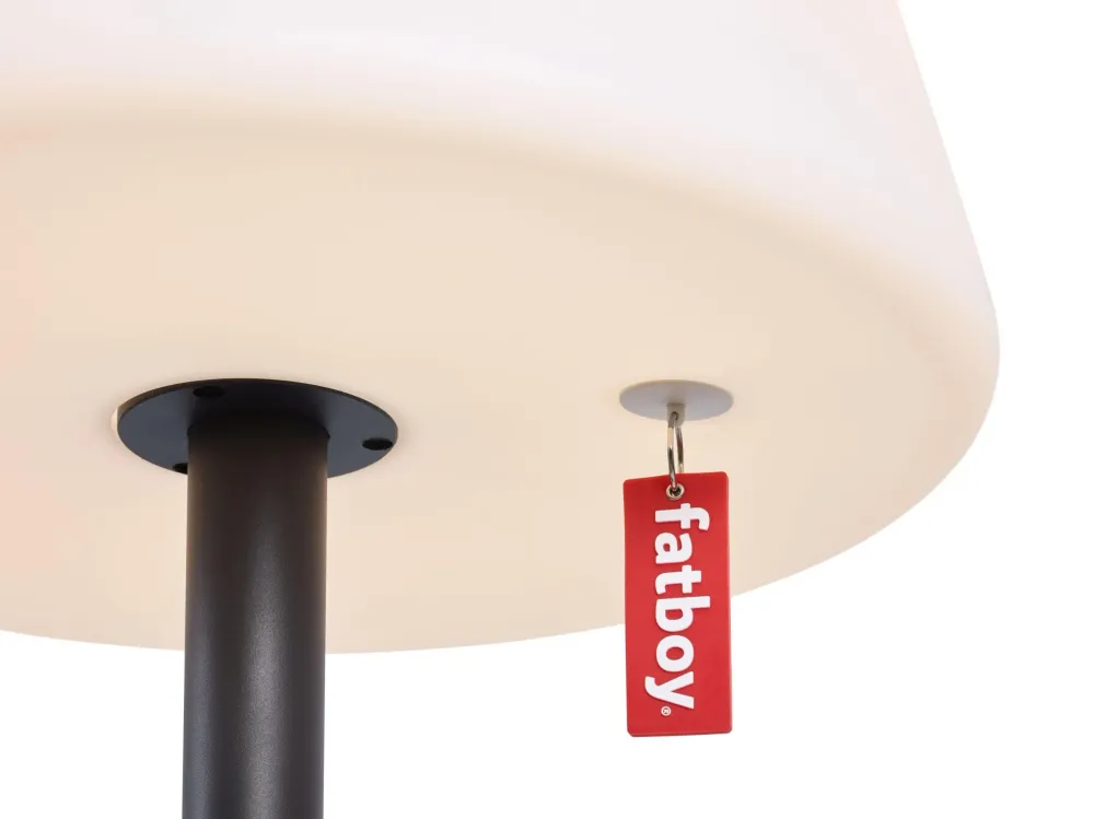 Fatboy Edison Giant vloerlamp Anthracite