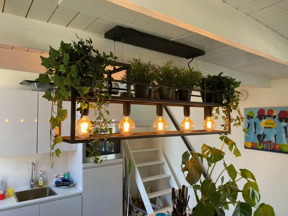 Freelight hanglamp Culinara - 5 lichts - 120 x 160 cm - zwart