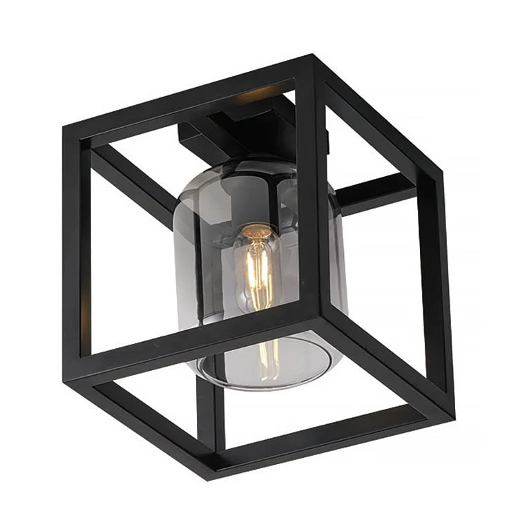 Freelight plafondlamp Dentro - 1 lichts - 25.5 x 27.5 cm - zwart rook