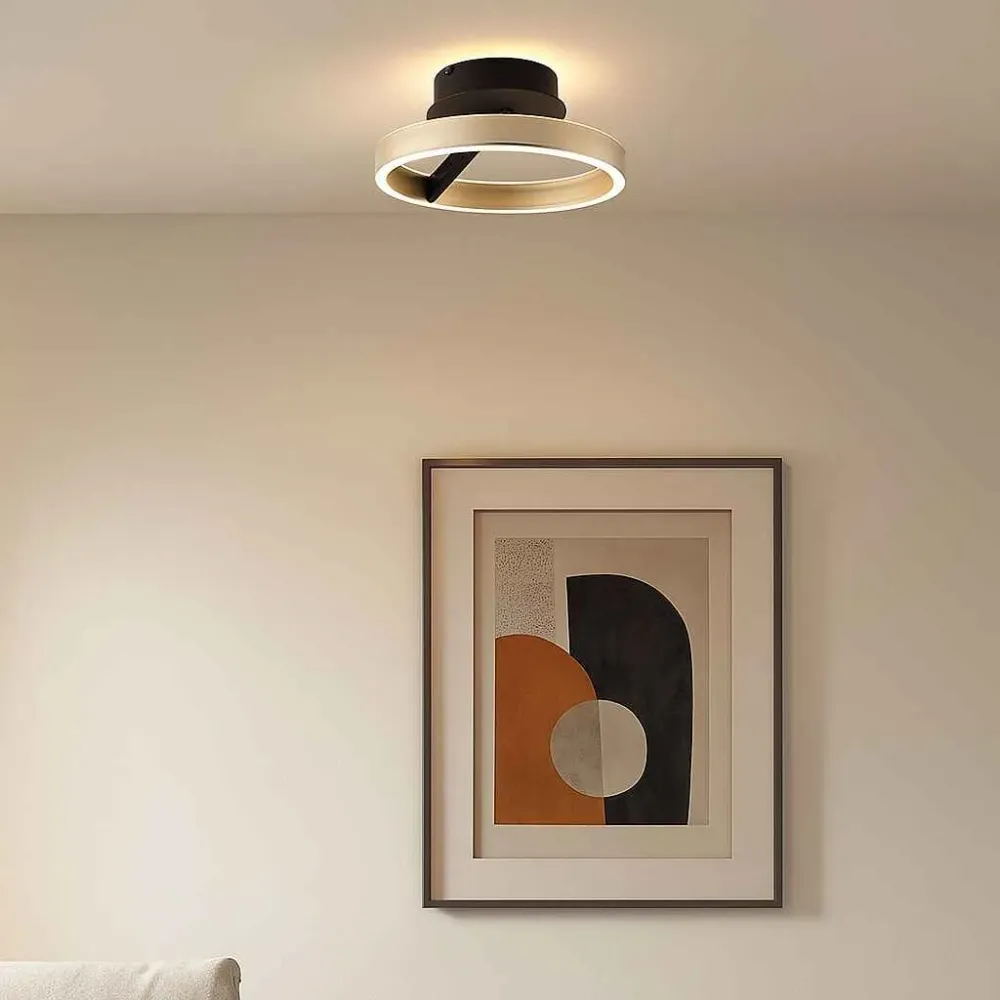 Freelight plafondlamp Pilota - 2 lichts - 30 x 12 cm - zwart goud