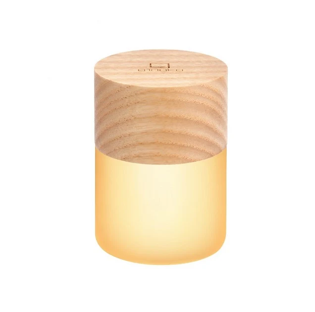 Gingko Design Lemelia lamp accu multi-colour essen S