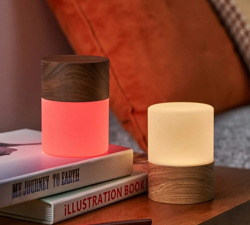 Gingko Design Lemelia lamp accu multi-colour essen S