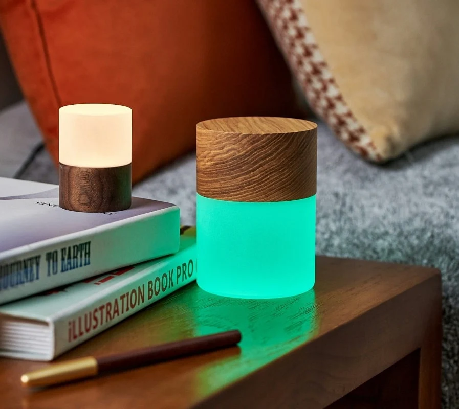 Gingko Design Lemelia lamp accu multi-colour essen S