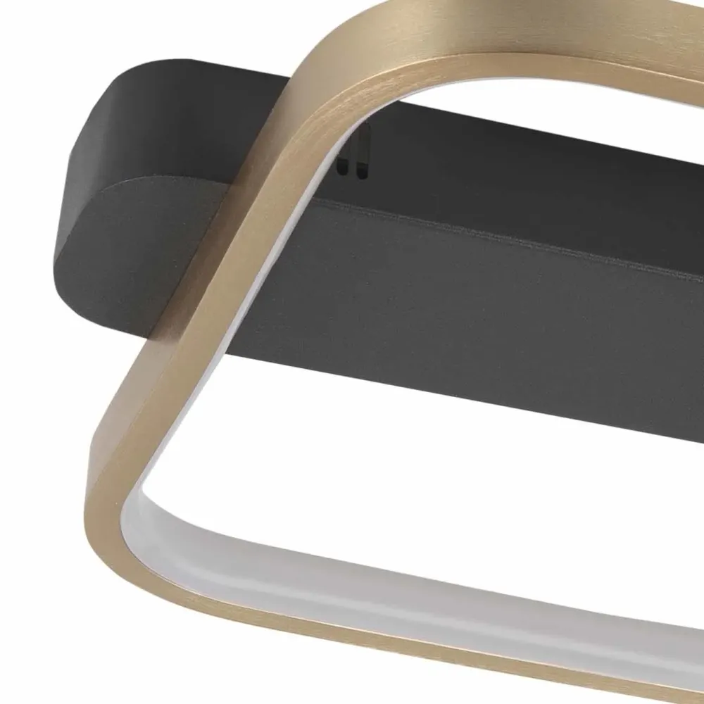 Highlight plafondlamp Ascona - 1 lichts - 36 x 6 cm - zwart - mat goud