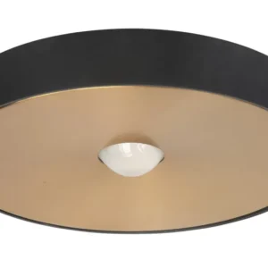 Highlight plafondlamp Bright - 1 lichts - 26 x 4.5 cm - zwart goud