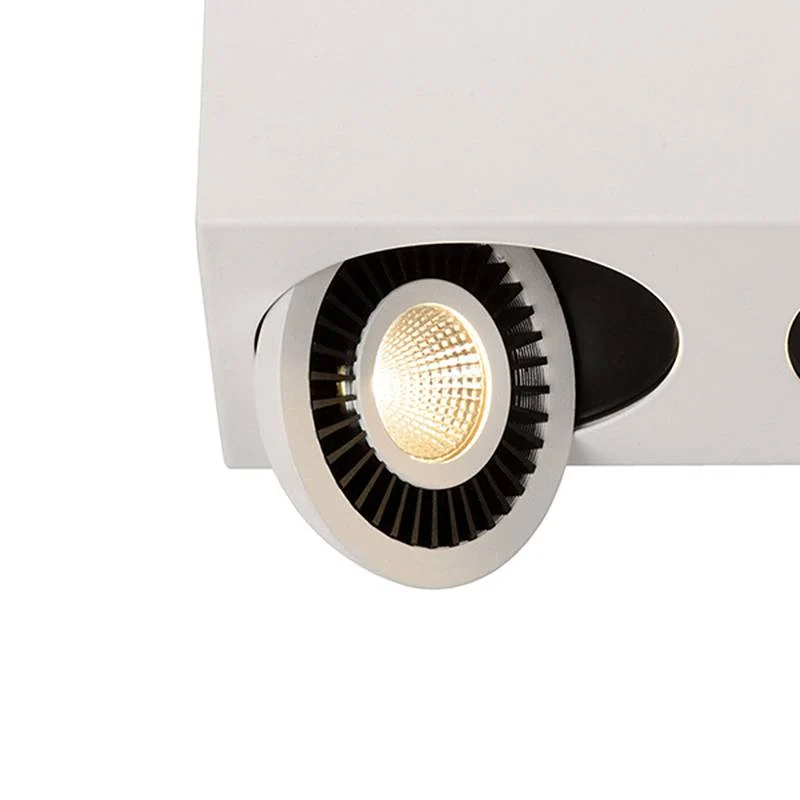 Highlight spot Eye - 2 lichts - 24.5 x 9 cm - wit