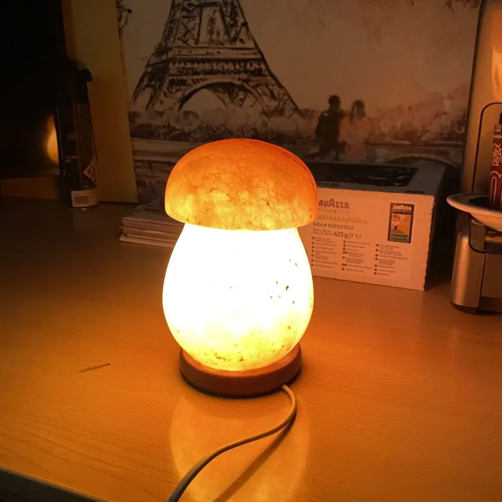 Himalaya Zoutlamp Paddestoel Model