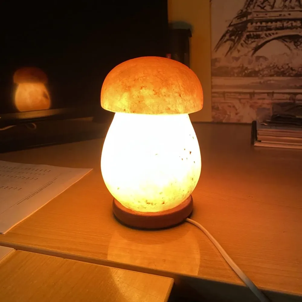 Himalaya Zoutlamp Paddestoel Model