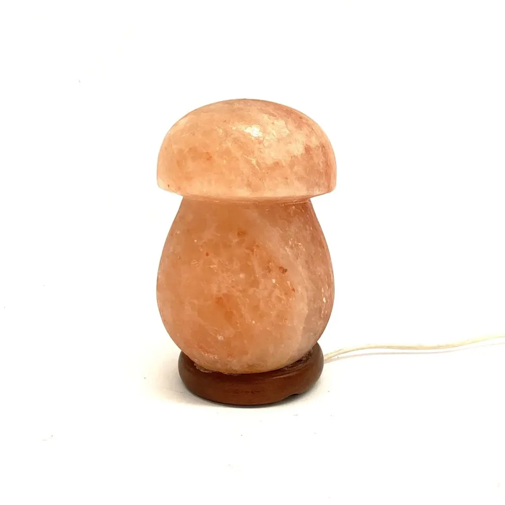 Himalaya Zoutlamp Paddestoel Model