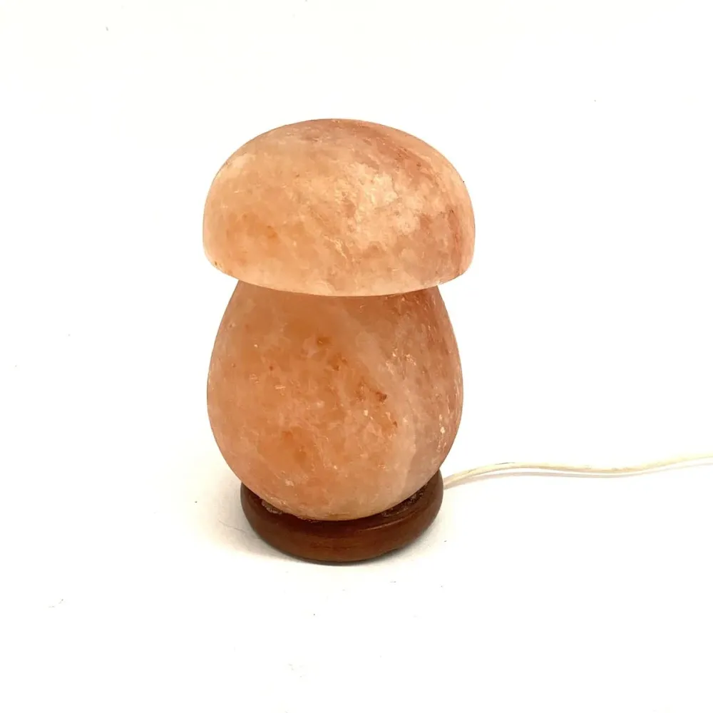 Himalaya Zoutlamp Paddestoel Model