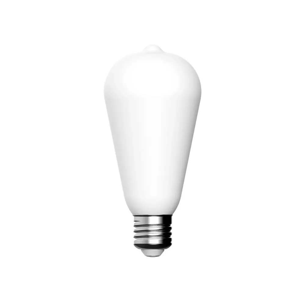 LED Lichtbron Porselein Effect CRI 95 ST64 7W 640Lm E27 2700K Dimbaar - P02