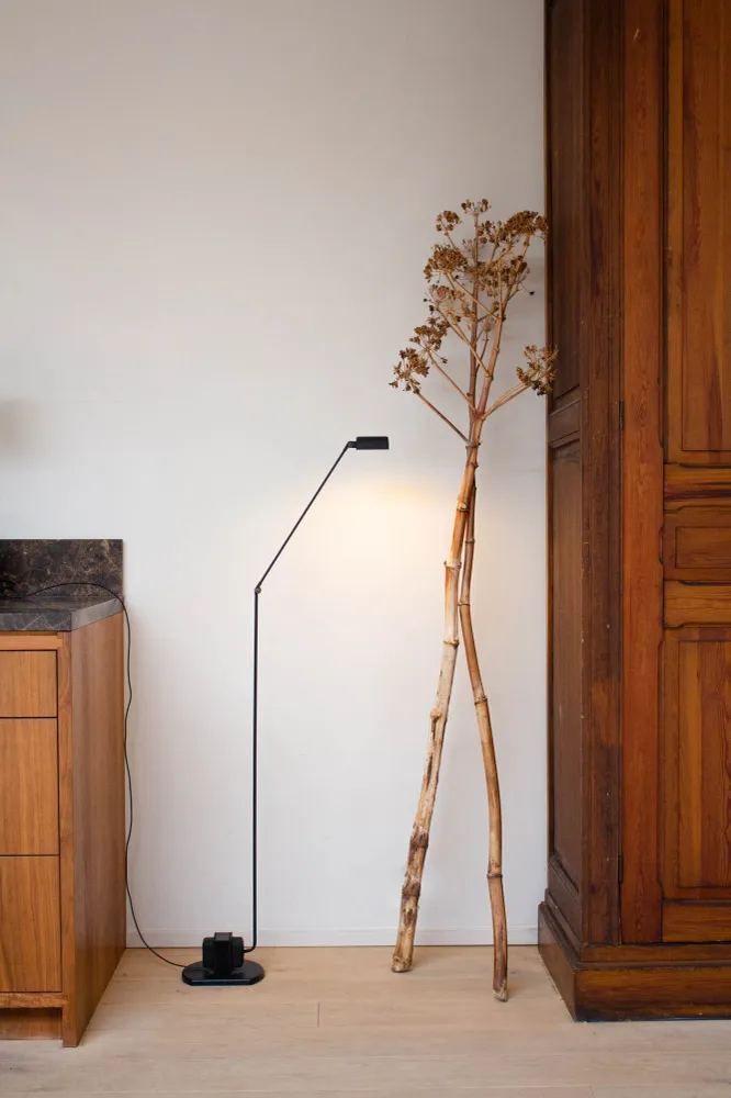 Daphine Terra Vloerlamp Zwart Klassiek Lumina
