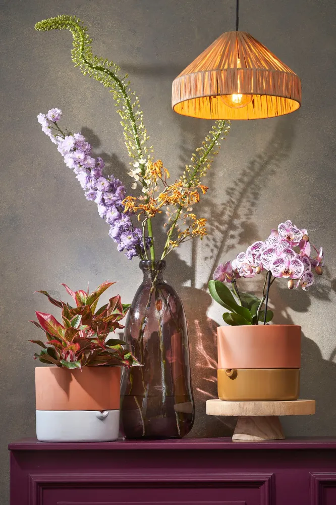 Elisa Ceiling Lamp L. Brown 40W-E27 - H18Xd30Cm Mica Decorations