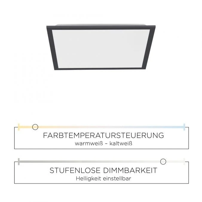 Paul Neuhaus plafondlamp Flat - 1 lichts - 45.5 x 6.6 cm - zwart
