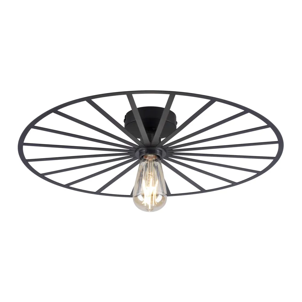 Paul Neuhaus plafondlamp Isabella - 1 lichts - 50 x 8.5 cm - zwart