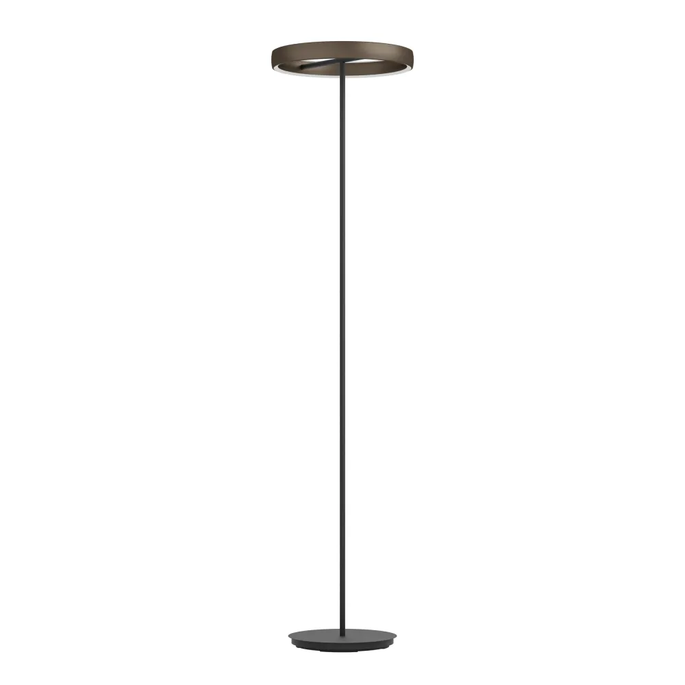 Stars Light Vloerlamp Trabuco