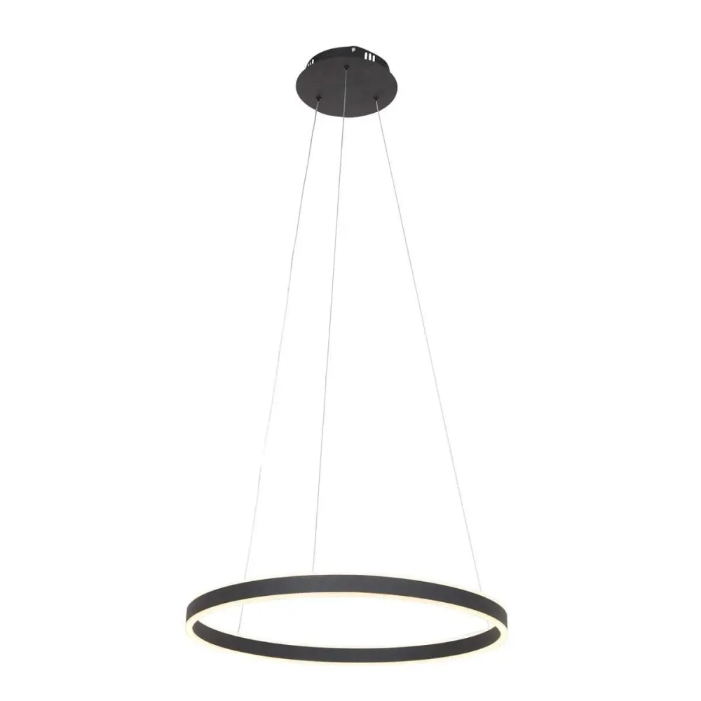 Steinhauer hanglamp Ringlux - 1 lichts - 60x 170 cm - zwart
