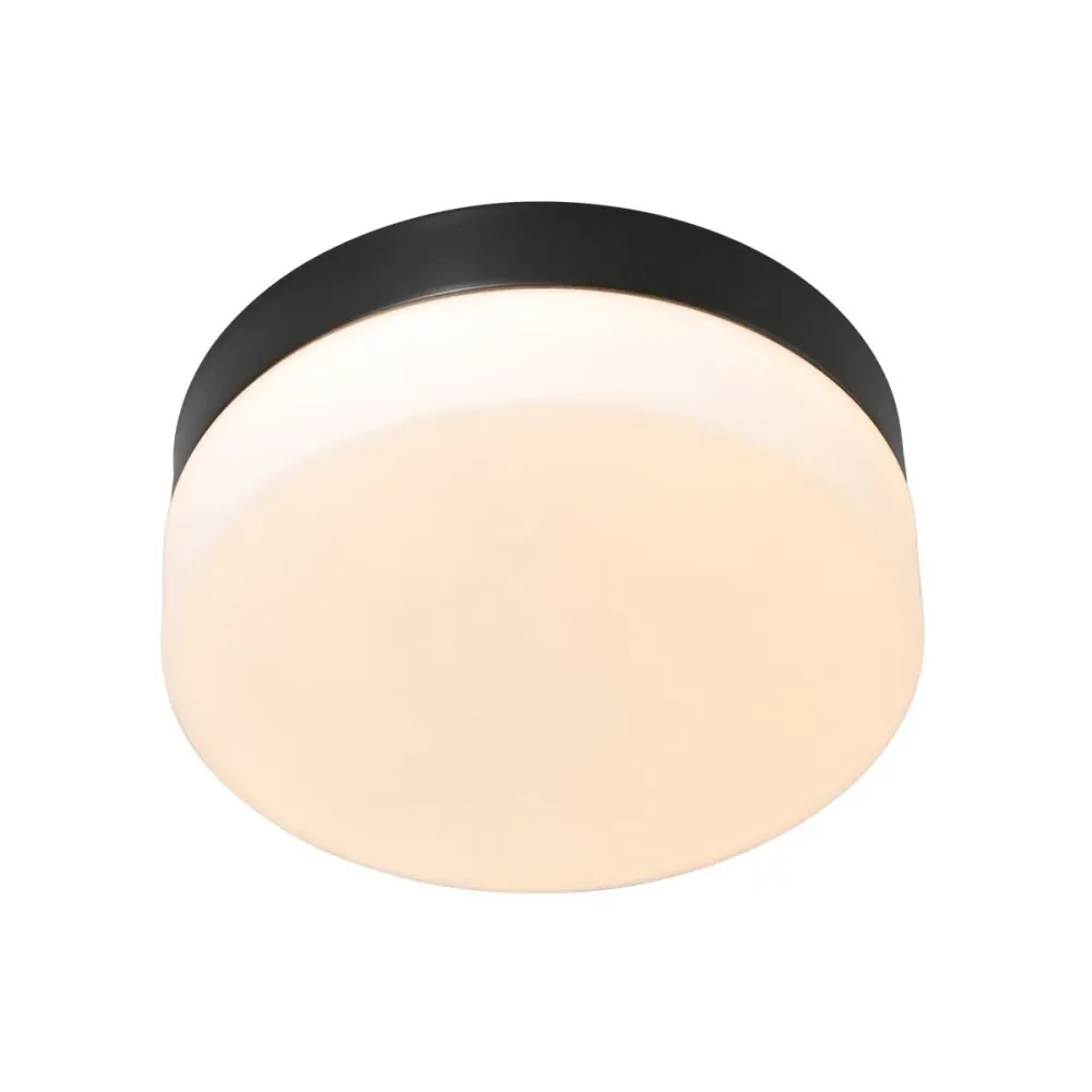 Steinhauer plafondlamp Ikaro - 1 lichts - 24x 7 cm - zwart