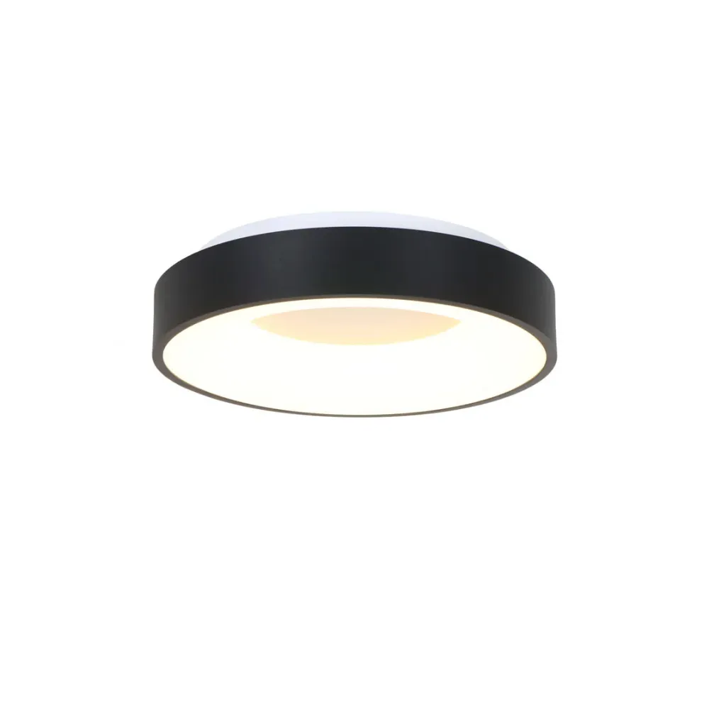 Steinhauer plafondlamp Ringlede - 1 lichts - 30x 9 cm - zwart