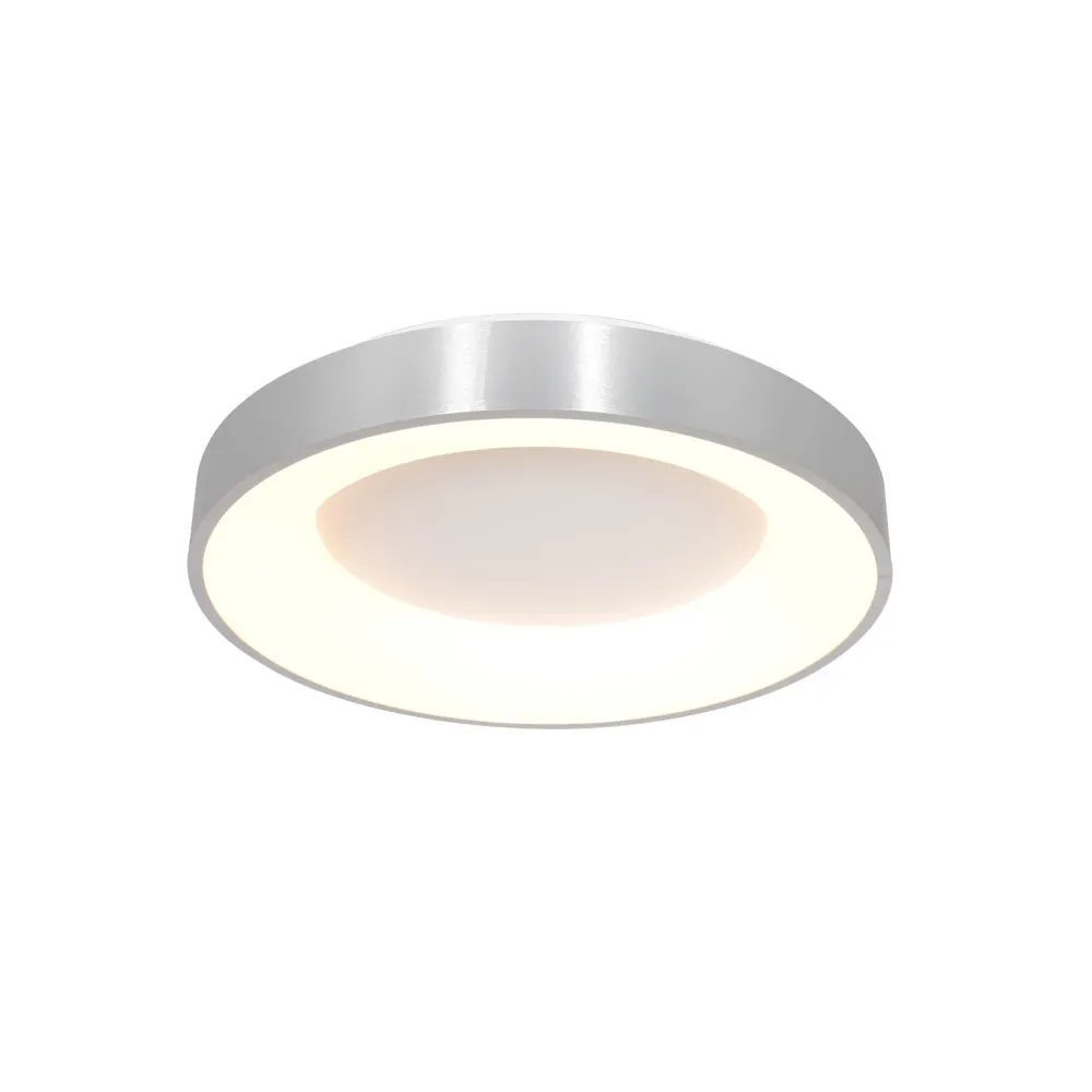 Steinhauer plafondlamp Ringlede - 1 lichts - 38x 9 cm - zilver
