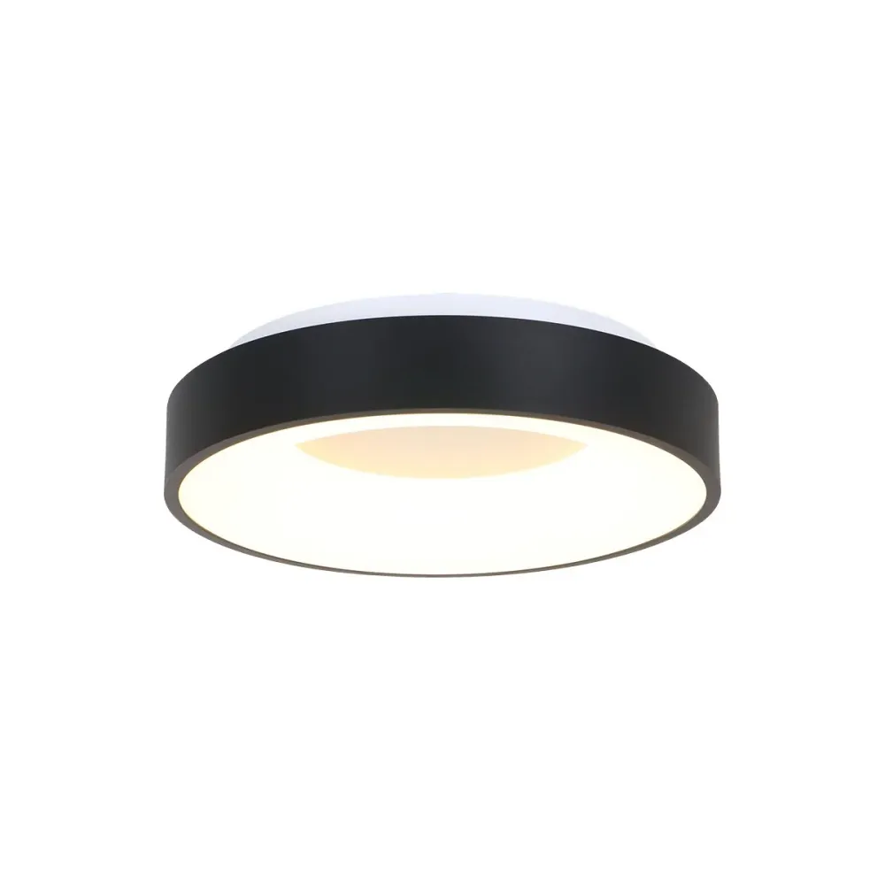 Steinhauer plafondlamp Ringlede - 1 lichts - 38x 9 cm - zwart