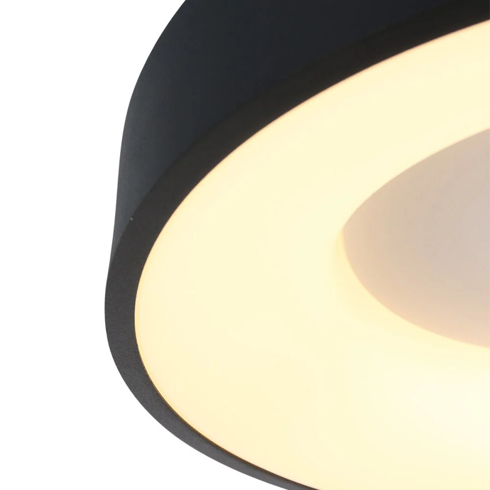 Steinhauer plafondlamp Ringlede - 1 lichts - 38x 9 cm - zwart