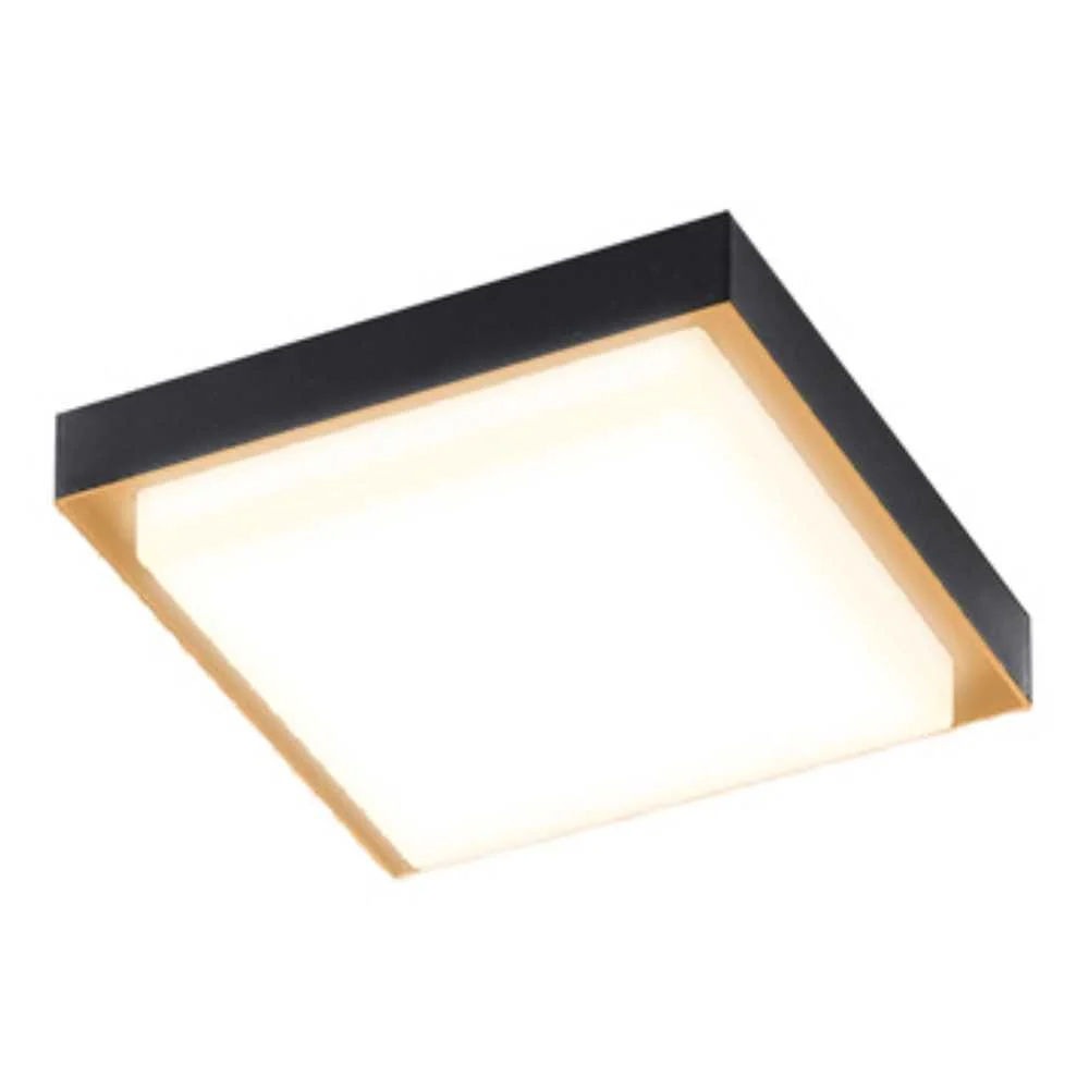 LAMPARA PLAFON LED TECHO 24 W LUZ CALIDA BRILLANTE IP54 IK05 INTERIOR Y EXTERIOR LED INTEGRADO 24PTLLED1132CV30N TECNOLITE
