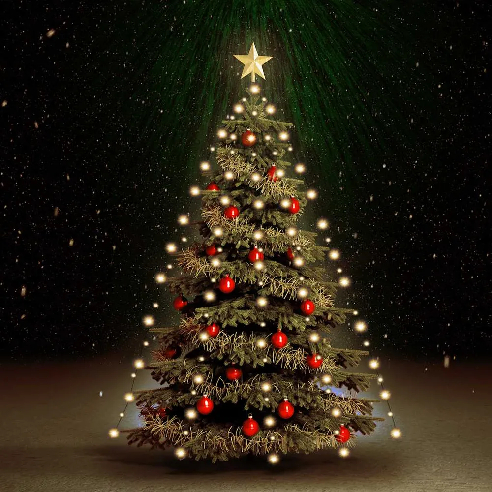 Kerstboomverlichting met 210 LED's net 210 cm vidaXL