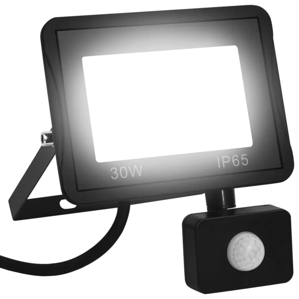 Spotlight met sensor LED 30 W koudwit vidaXL