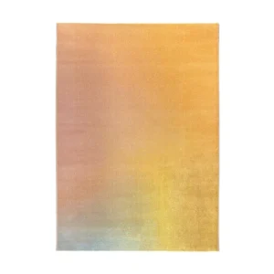 Caro vloerkleed Veelkleurig 200 x 290 cm