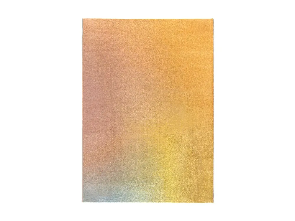 Caro vloerkleed Veelkleurig 200 x 290 cm