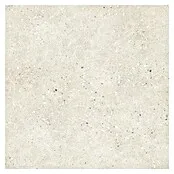 Decocer Cinca Keramische tegel Ouderwets bone white - 60 x 60 cm, Wit