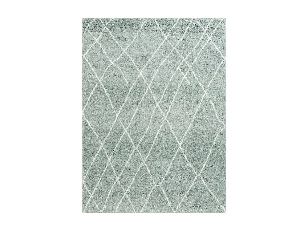 Hoogpolig tapijt 245x160 Groen Lachen Fence