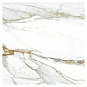 Tau ceramica Vloertegel Kian Gouden - b x l: 60 x 60 cm, Dikte: 8,5 mm