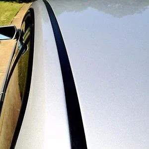2011-2016 Chevy Volt Ebbenhout Roof Top Trim Molding Kit