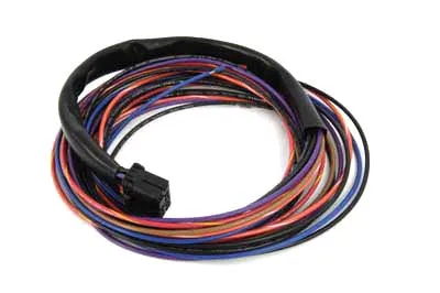 Wire Harness Rear Lighting Tail Lamp Harley-Davidson Replaces OEM: 68819-03 inclusief batterijen